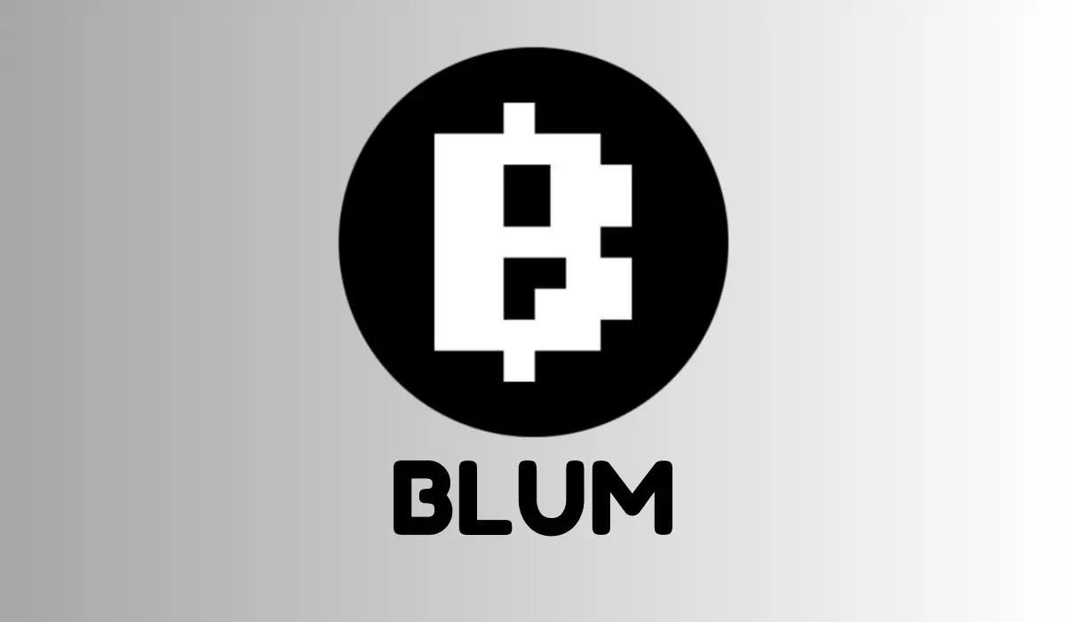 Blum-Coin Preisvorhersage