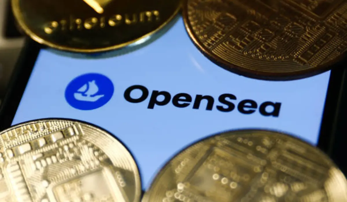 OpenSea Airdrop echt oder ein Betrug