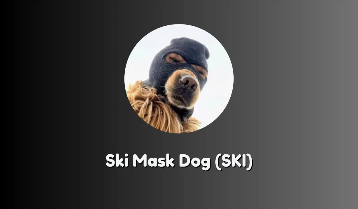 Preisprognose Für Ski Mask Dog (SKI)