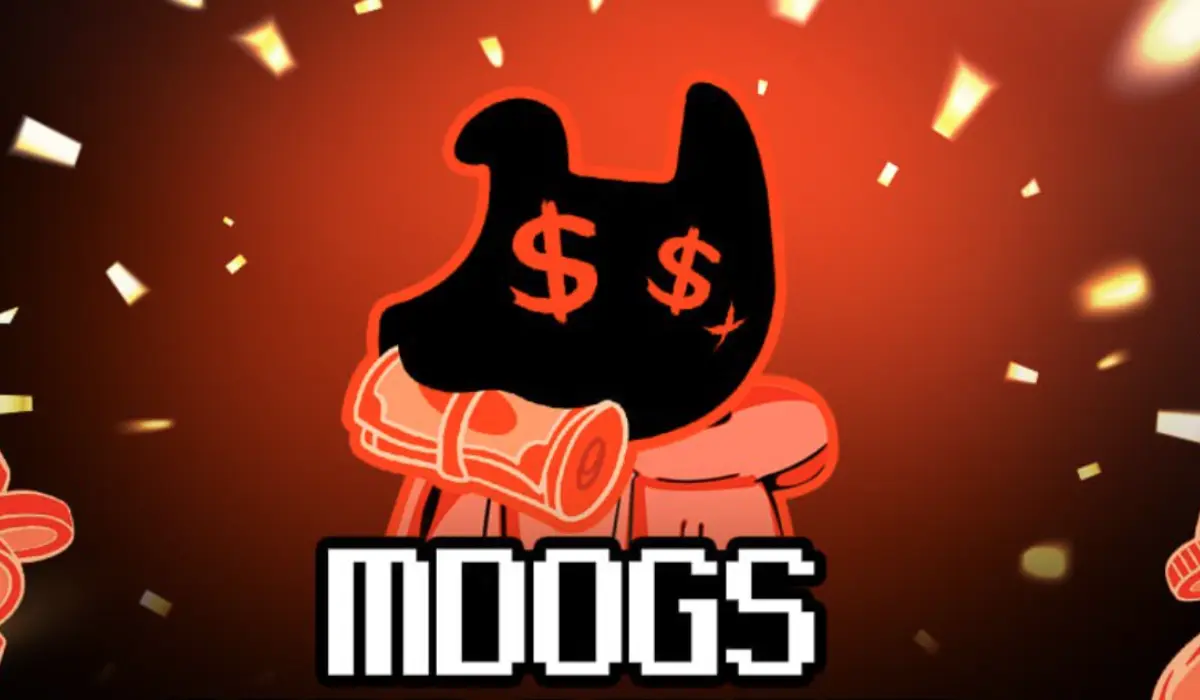 Was sind Money Dogs