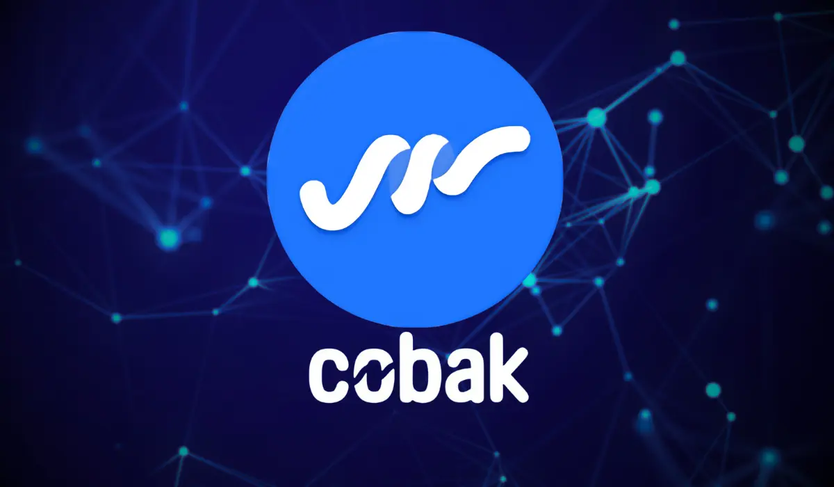 Cobak Token Preisvorhersage