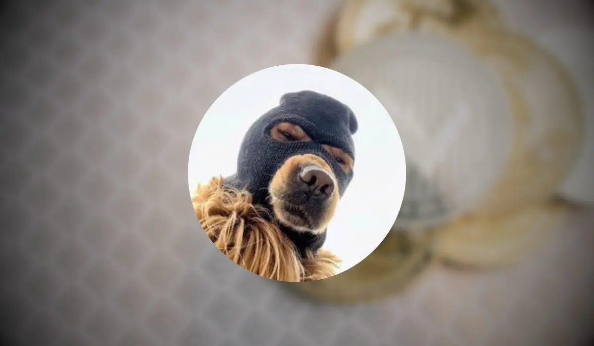 Ski Mask Dog (SKI)