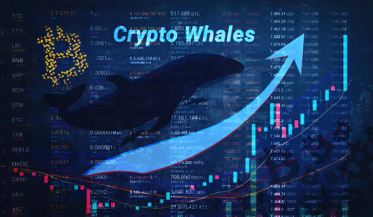 Qui sont les crypto-baleines 