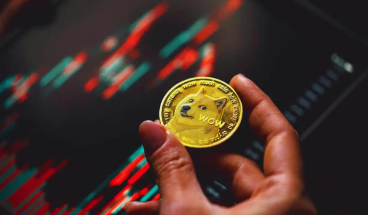 Dogecoin suivra-t-il le prochain Bull Run de Bitcoin