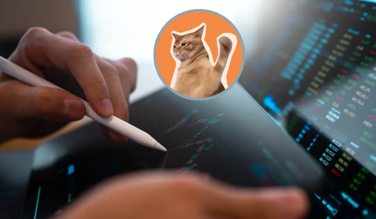 Prévision de prix CatSlap