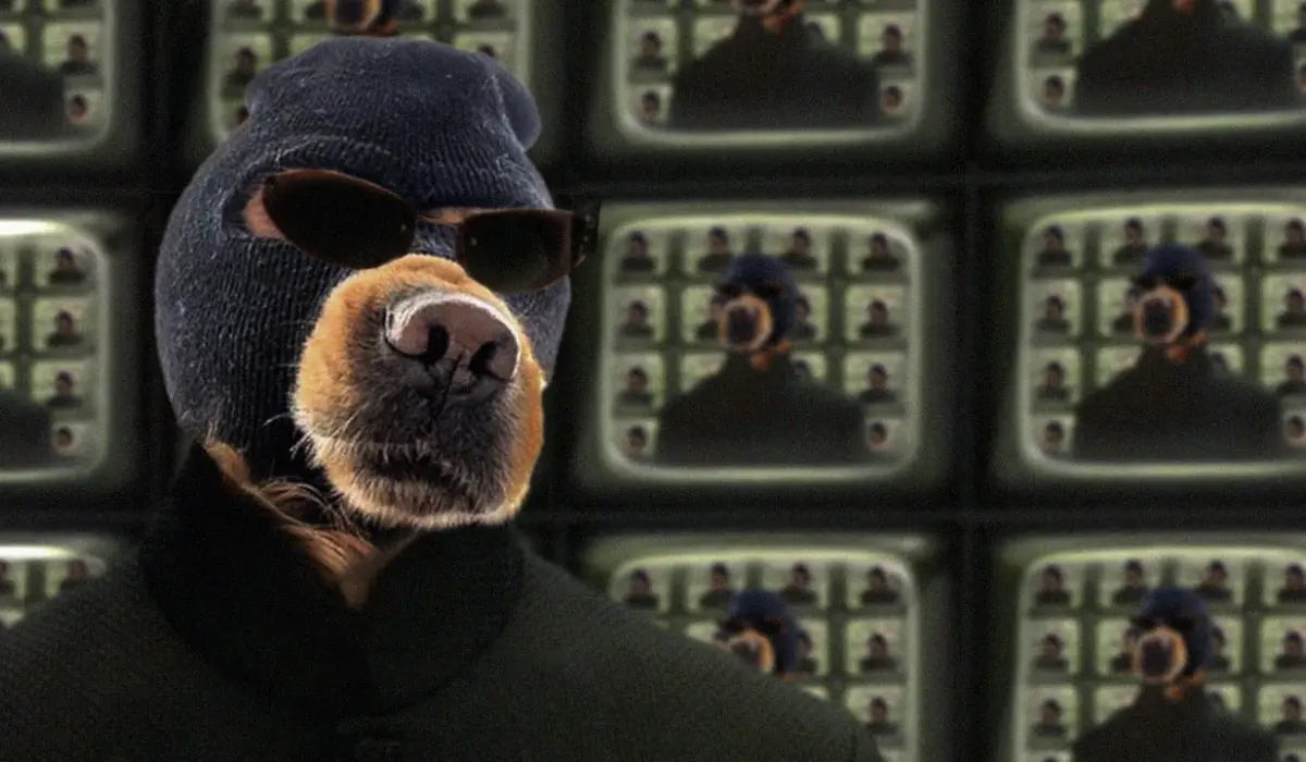 Ski Mask Dog (SKI) 