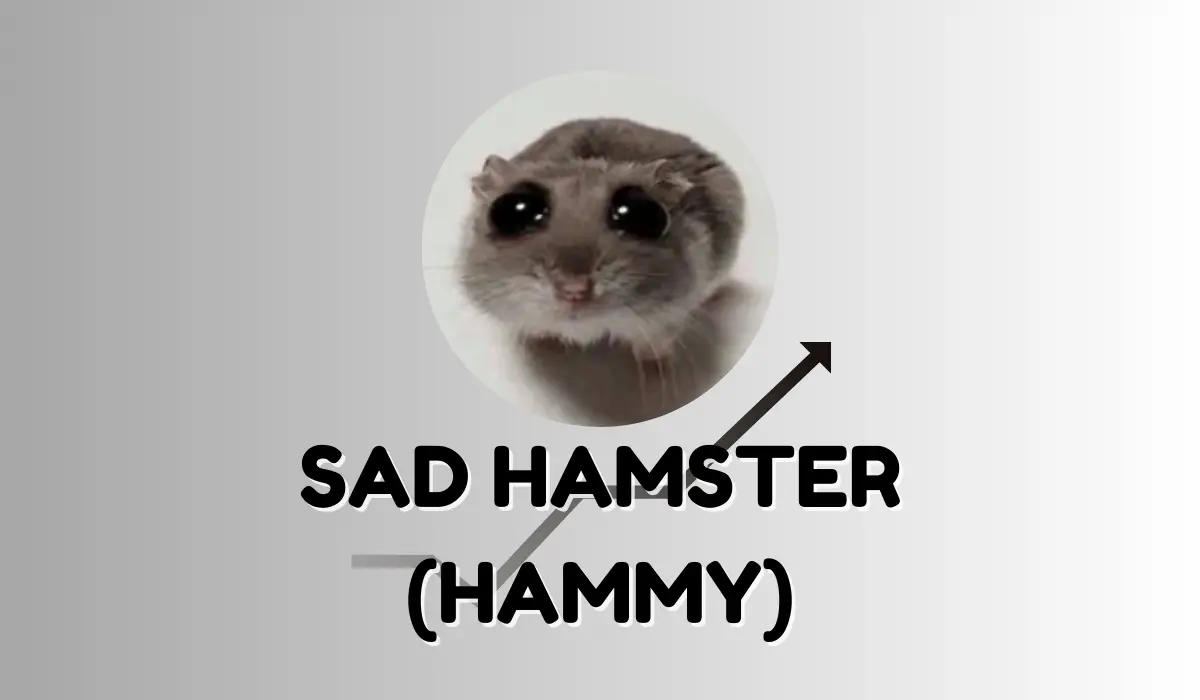 Prévision Des Prix De SAD HAMSTER (HAMMY)