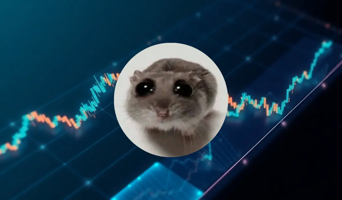 SAD HAMSTER (HAMMY) Cryptomonnaie