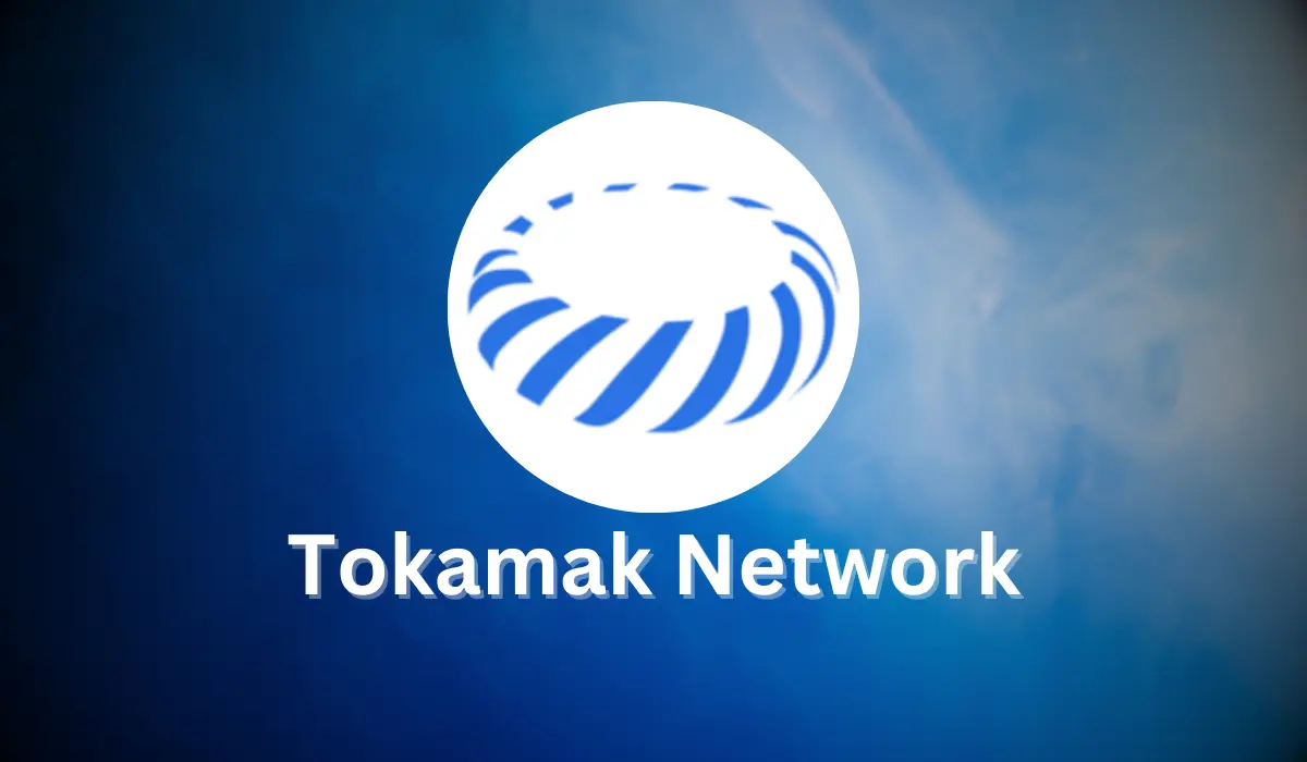 Tokamak Network (TON)