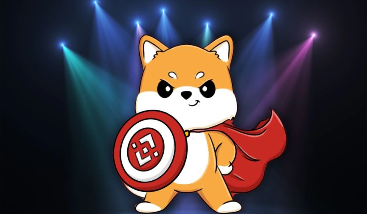 Koma Inu (KOMA) Token Krypto