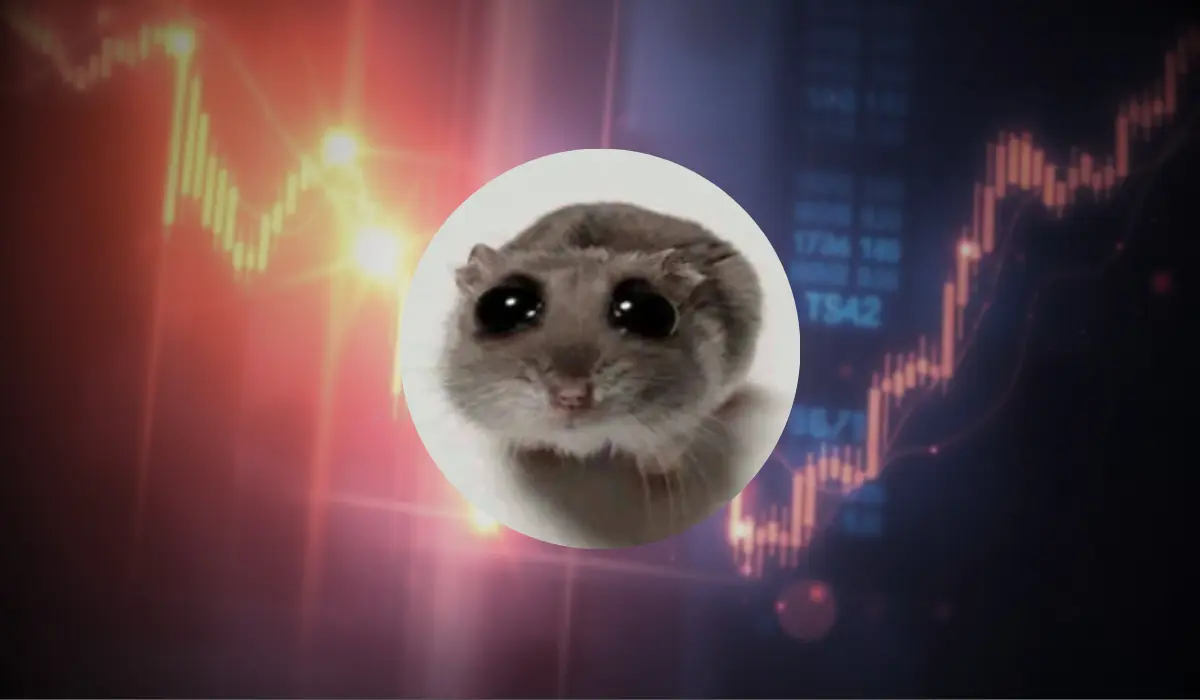 SAD HAMSTER (HAMMY) Kryptovalutaer