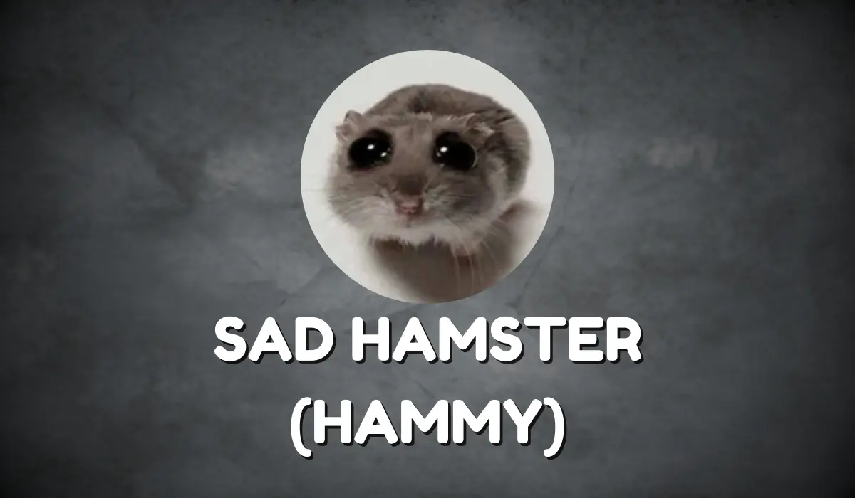 SAD HAMSTER (HAMMY) Prisprediksjon