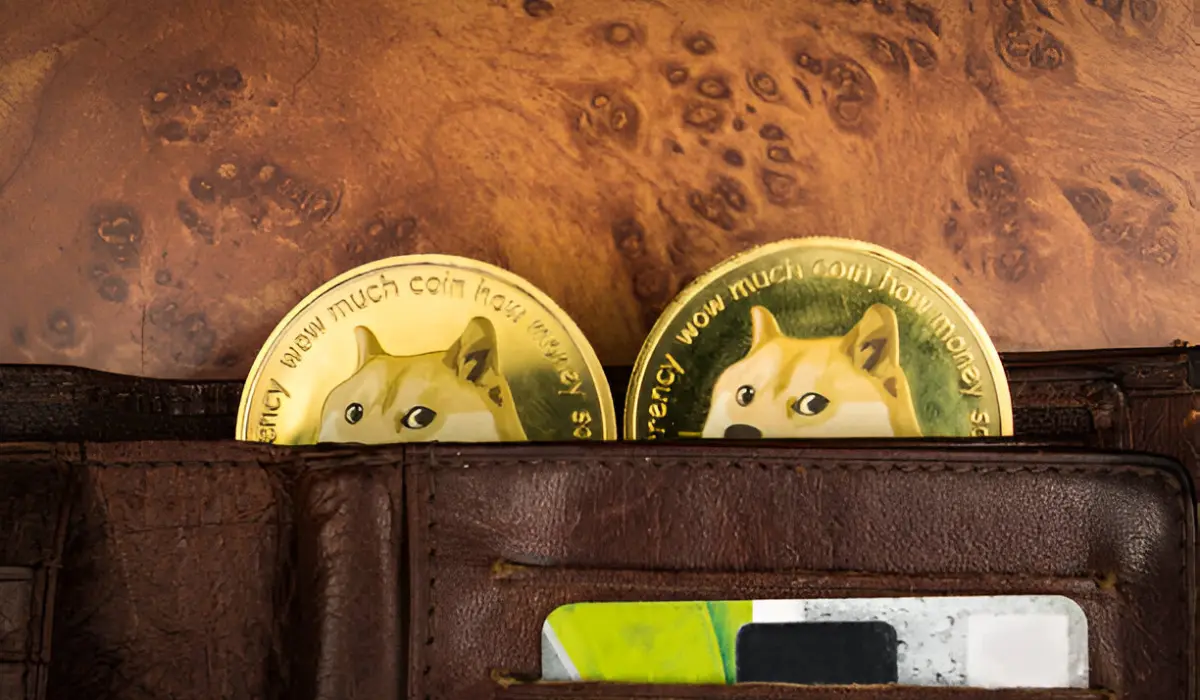 carteiras Dogecoin (DOGE)