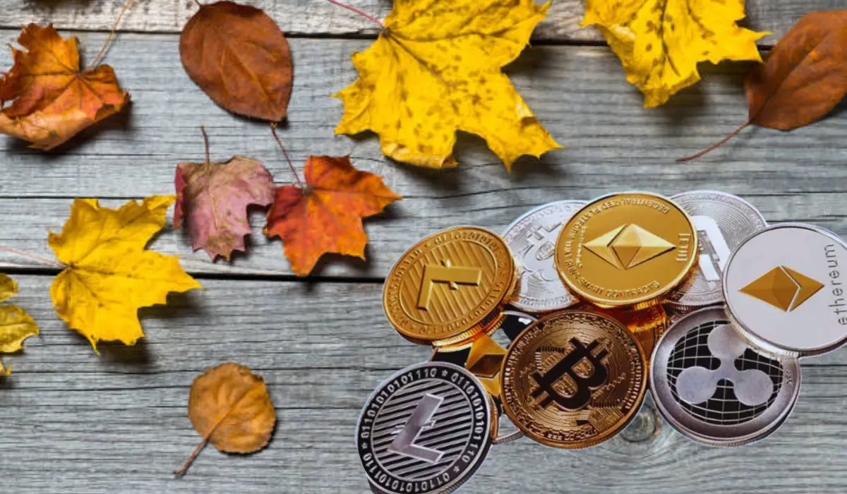 Crypto Autumn