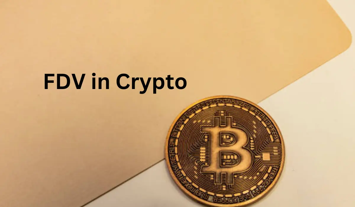 O que é FDV em criptografia