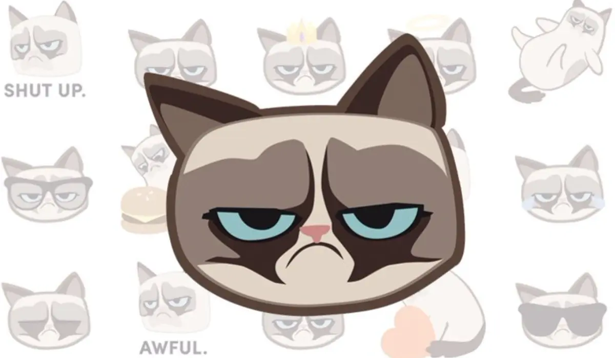 Previsão de preço do Grumpy Cat