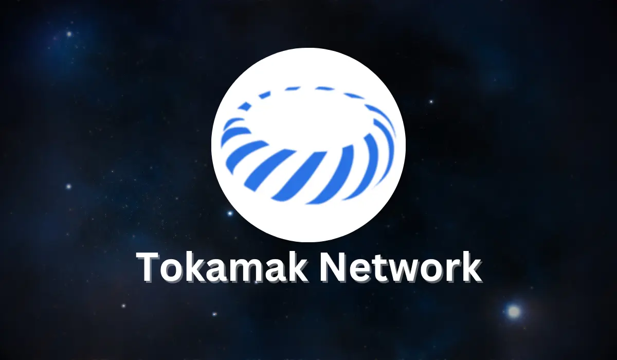 Previsão De Preços Da Tokamak Network (TON)