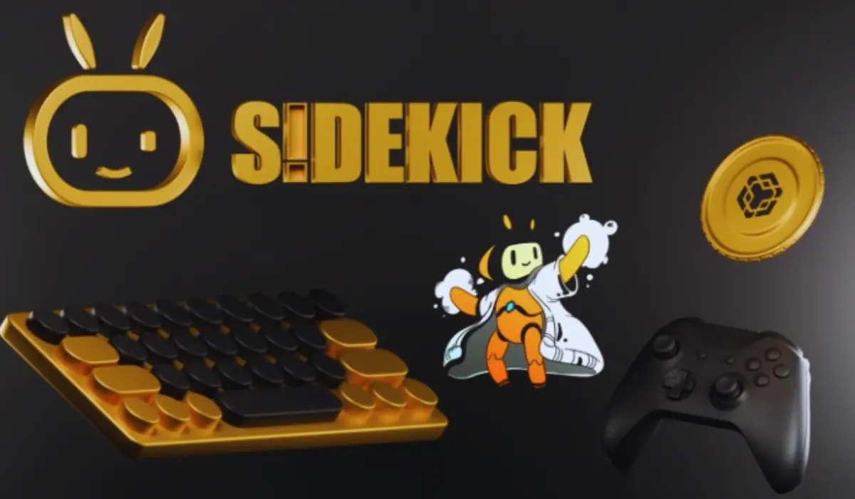 Особенности игры SideKick 