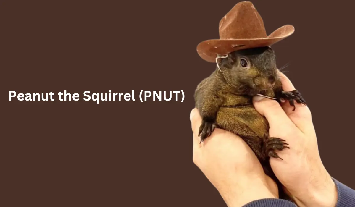 Прогноз цены белки Peanut the Squirrel (PNUT)