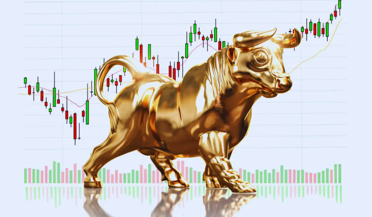 Next Crypto Bull Run