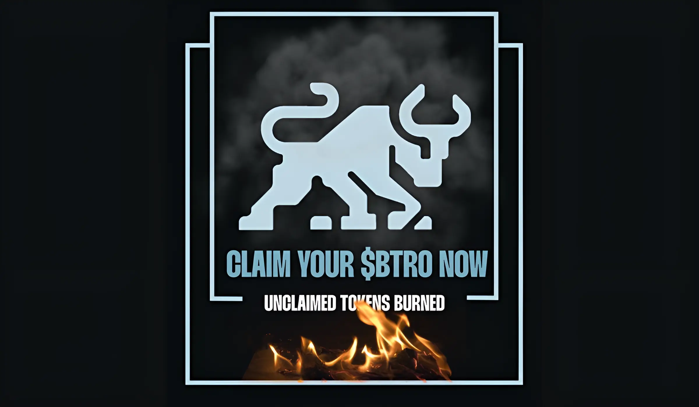 BTORO Tokenomics