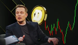 Dogecoin with Elon Musk