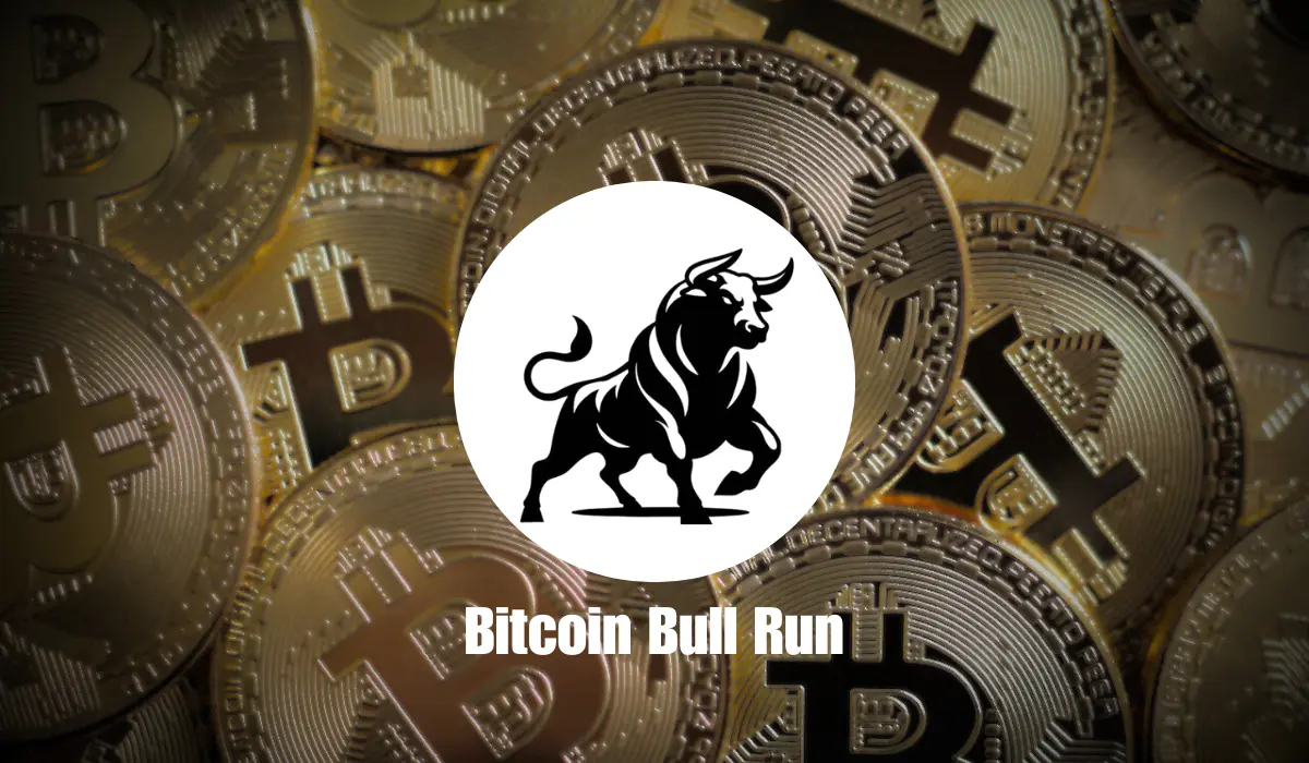 Bitcoin’s 2025 Bull Run