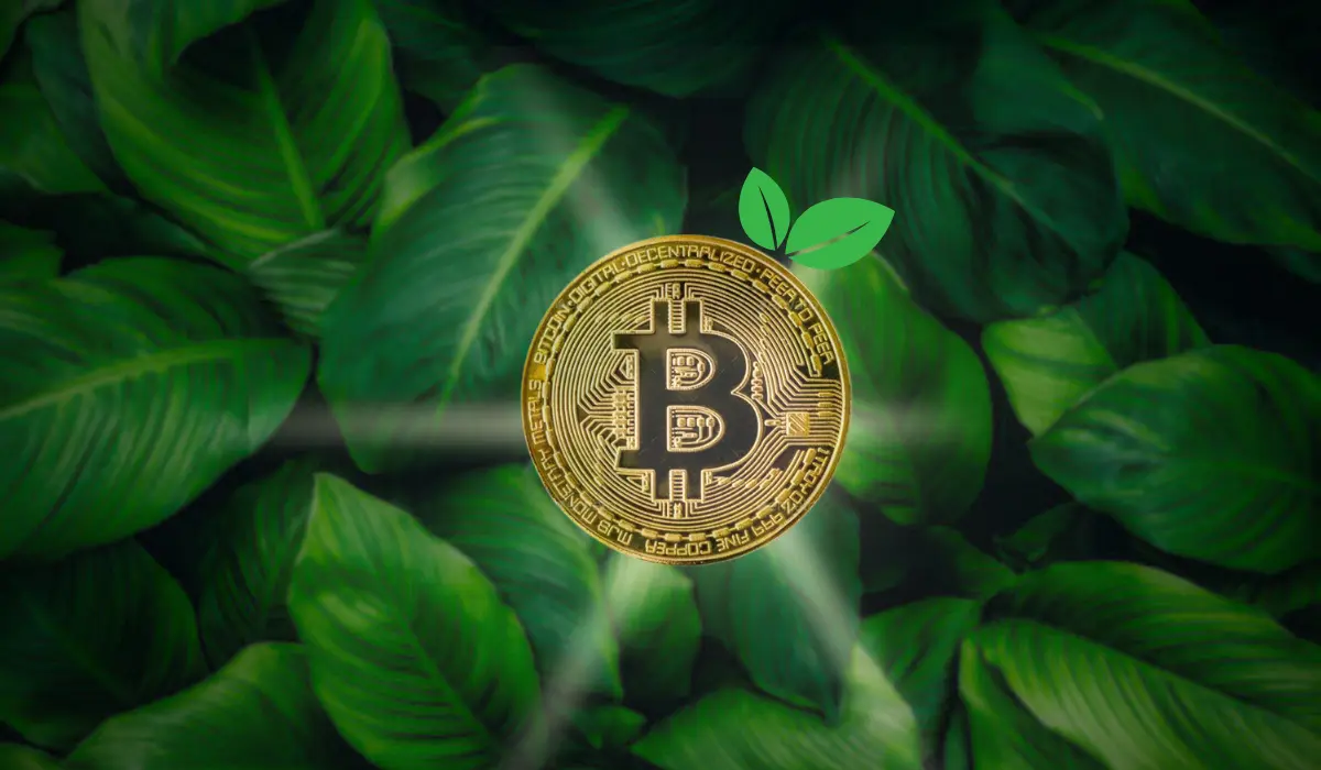 Environmental Impact Of Cryptocurrency