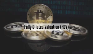 FDV In Crypto