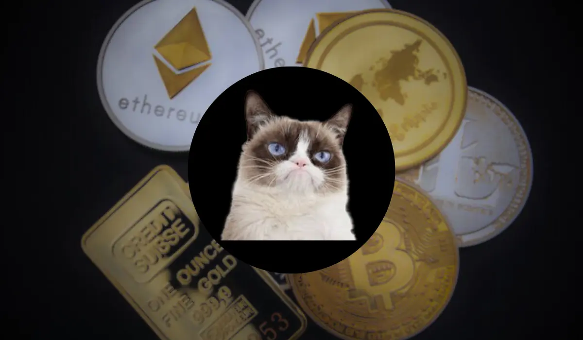 Grumpy Cat Meme Coin