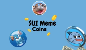 SUI Meme Coins