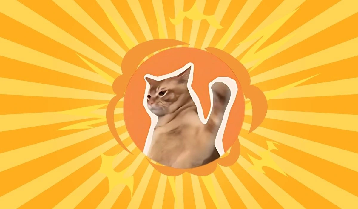 CatSlap ($SLAP) crypto