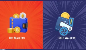 Hot Wallets And Cold Wallets In Crypto