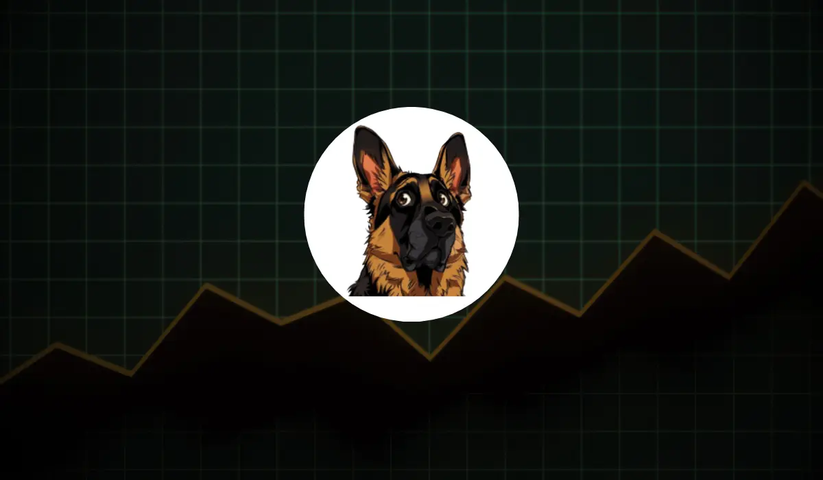 Hund crypto meme coin