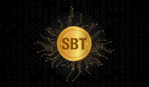 Soulbound Tokens (SBT)