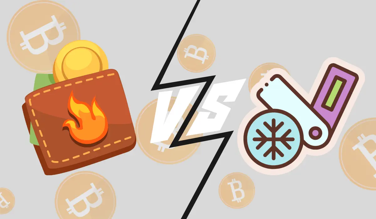 What Is A Hot Wallet