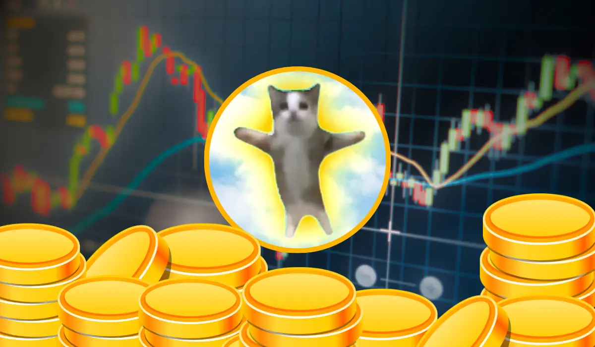 What Is The HAPPY CAT Meme Coin