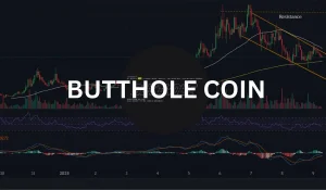 Butthole Coin