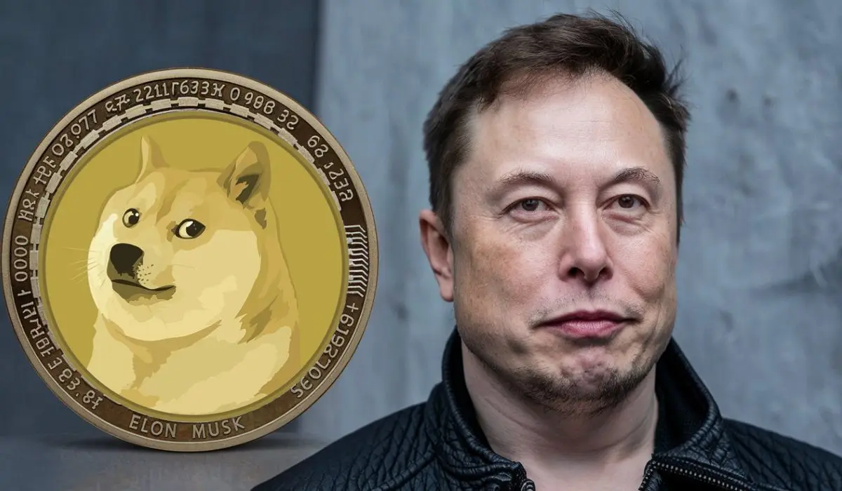 Elon Musk Meme Coins