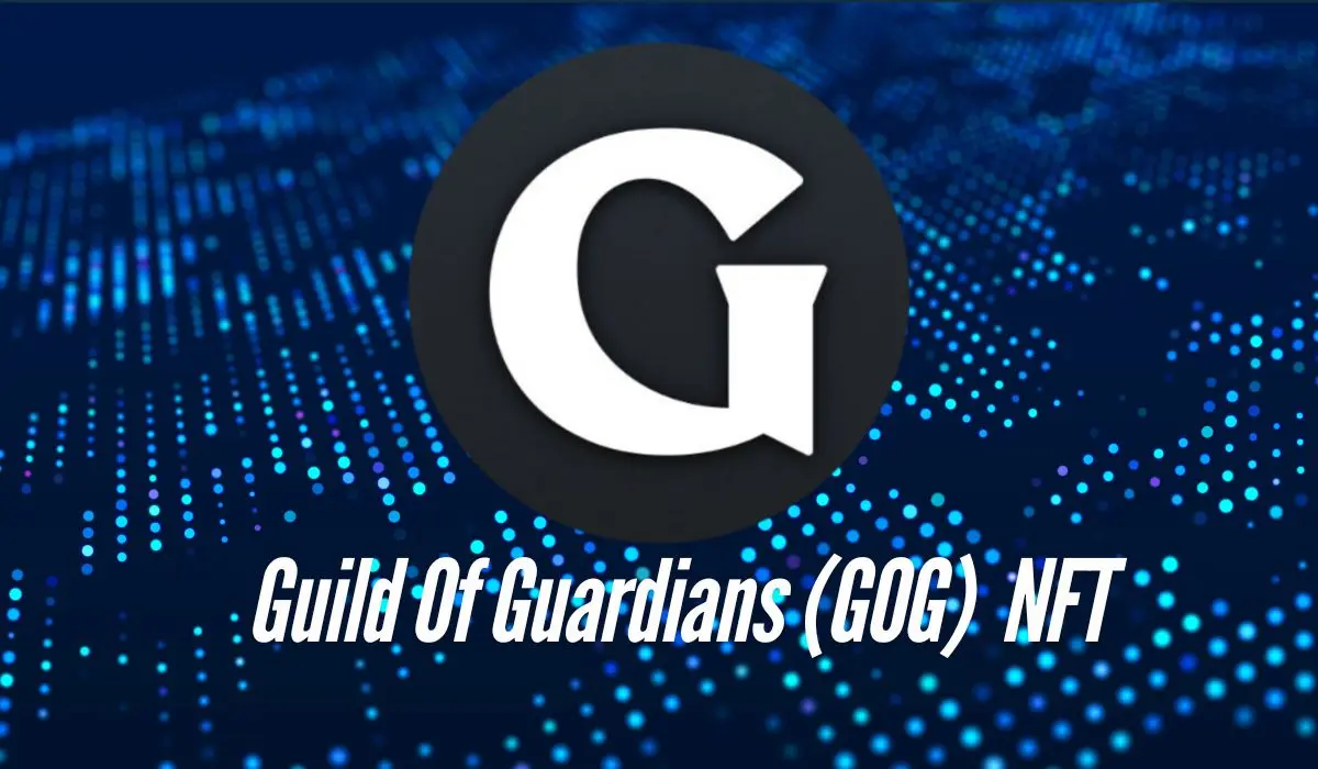 Guild Of Guardians (GOG) NFTs