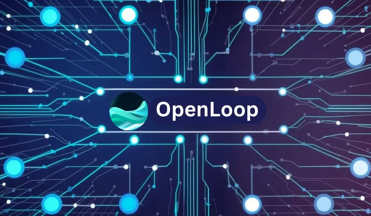 OpenLoop network