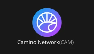 Camino Network (CAM) Price Prediction