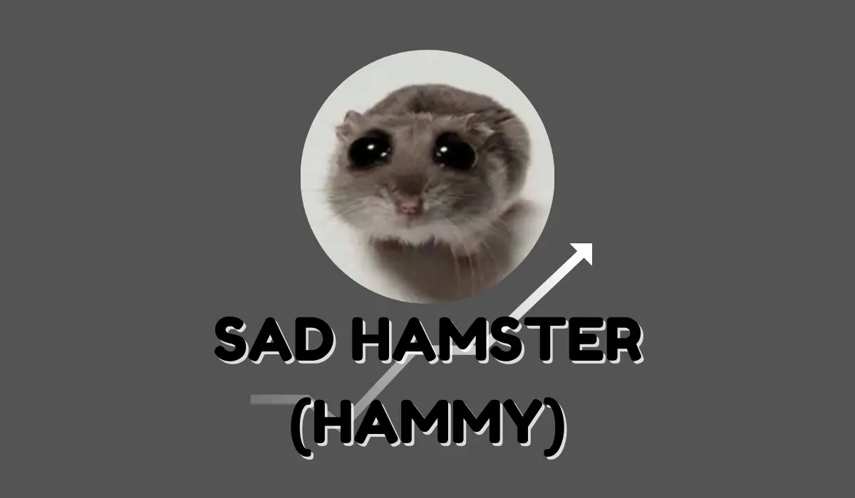 SAD HAMSTER (HAMMY) Price Prediction