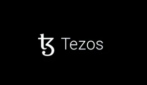 Tezos Global Blockchain Meetups 2025