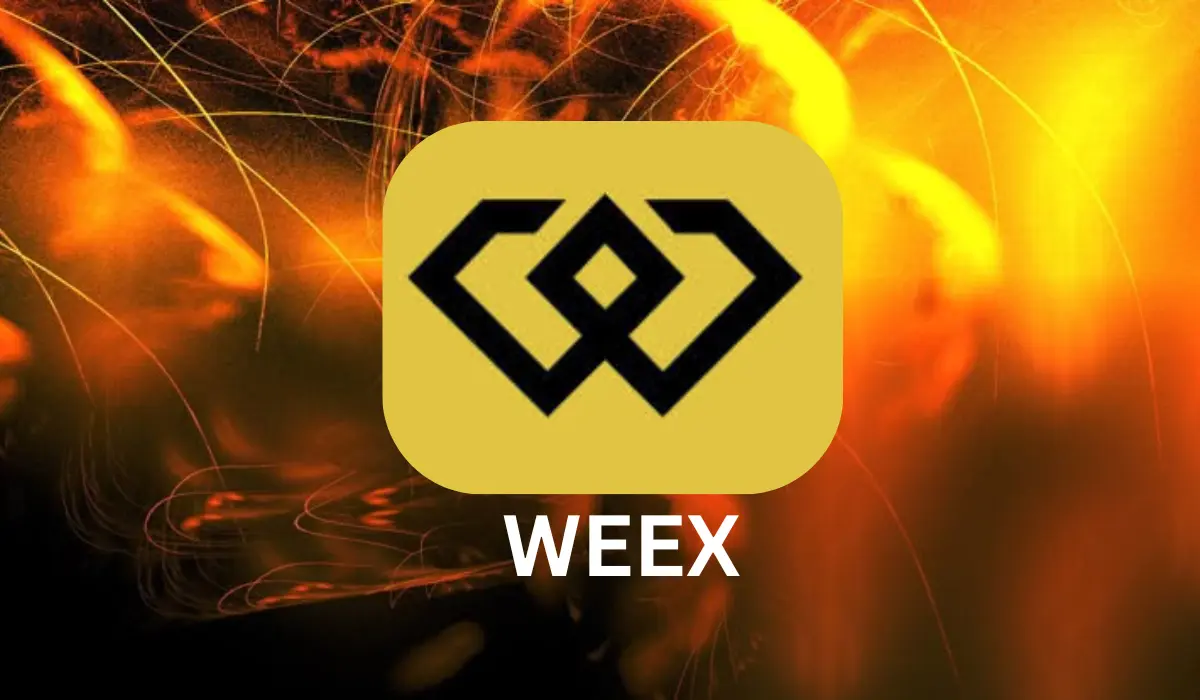 WEEX Crypto Exchange