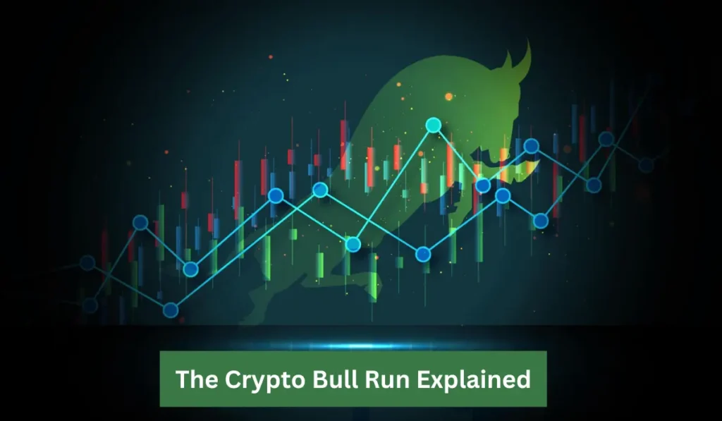 crypto bull run