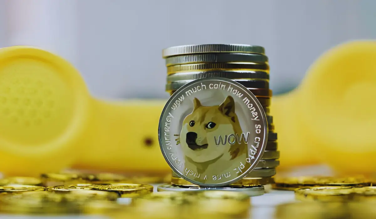 Dogecoin A 'Weird' Choice For Investors