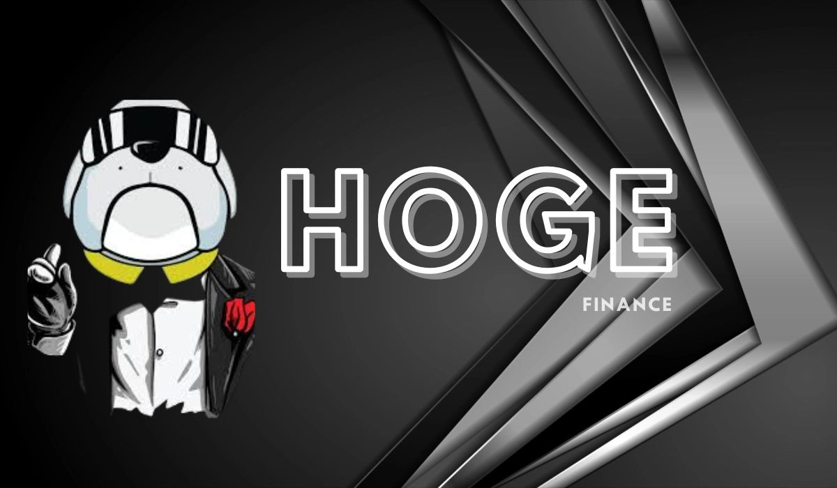 HOGE FINANCE price prediction